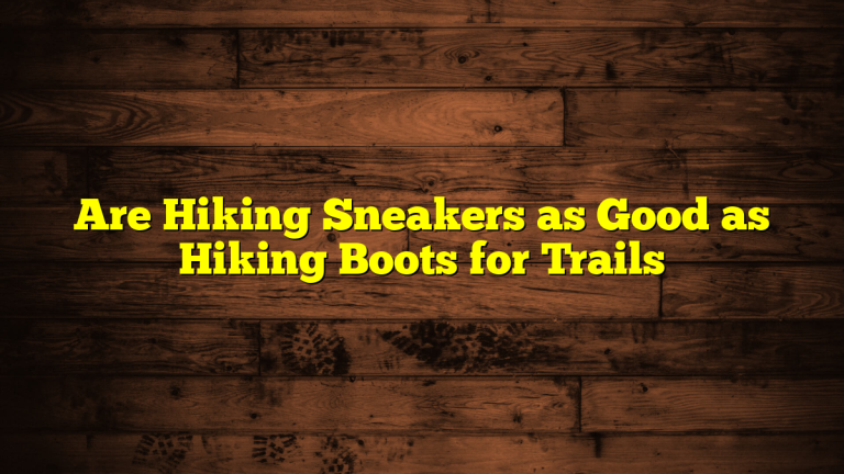 Are Hiking Sneakers as Good as Hiking Boots for Trails Are Hiking Sneakers as Good as Hiking Boots for Trails