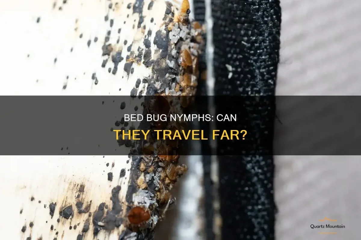 Traveler inspecting suitcase and hotel bed for bed bugs before unpacking