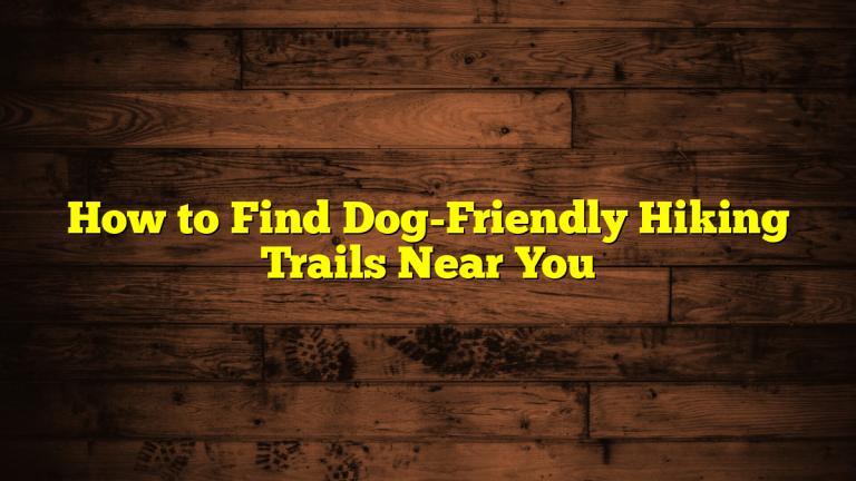 How to Find Dog-Friendly Hiking Trails Near You
