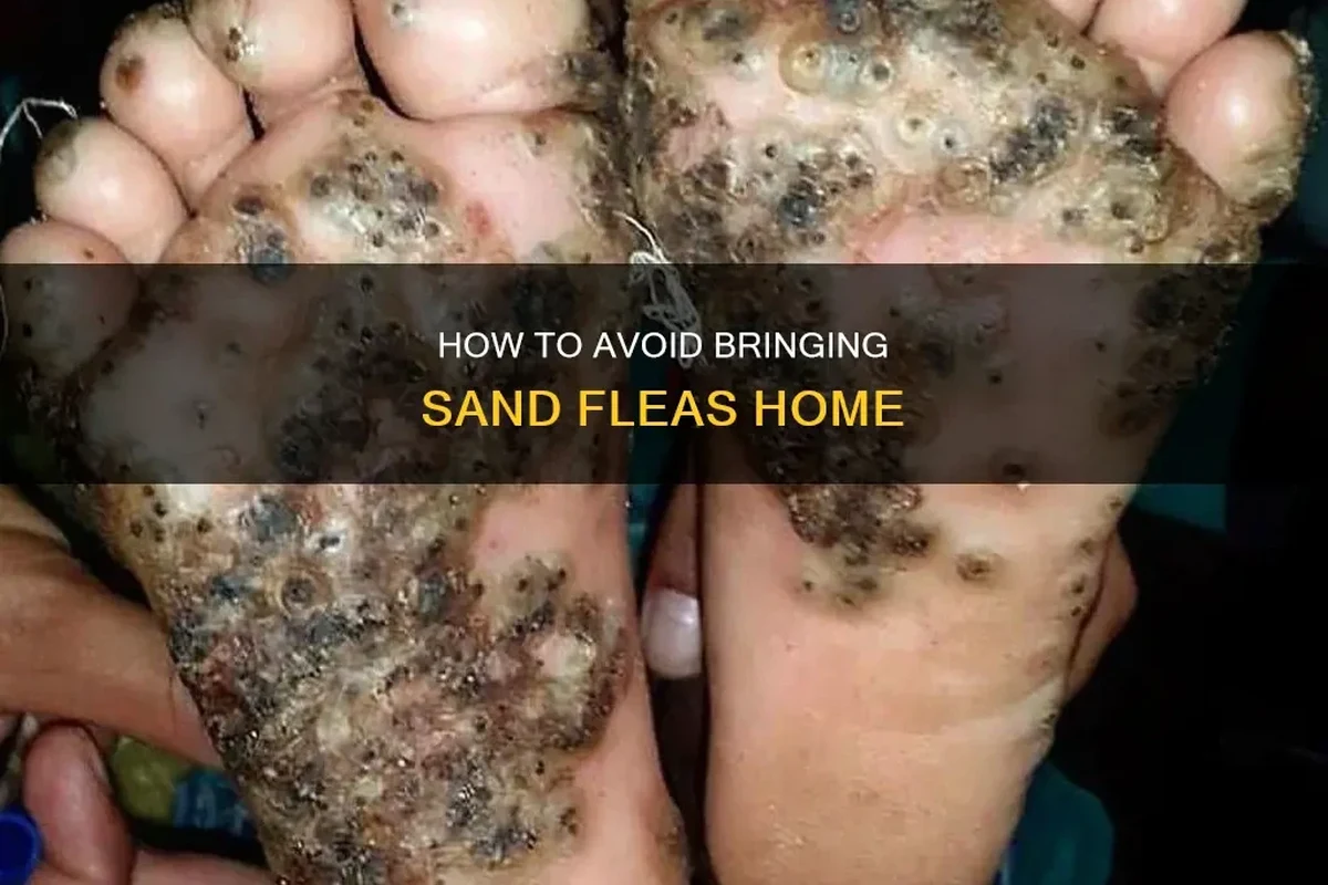 Traveler shaking sand from beach towel and shoes before entering a home
