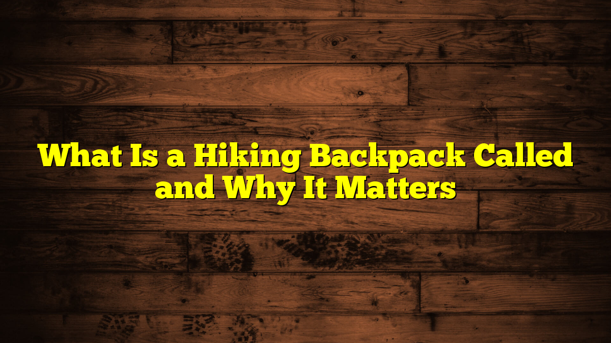 What Is a Hiking Backpack Called and Why It Matters