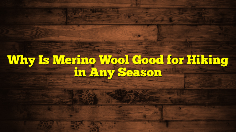 Why Is Merino Wool Good for Hiking in Any Season