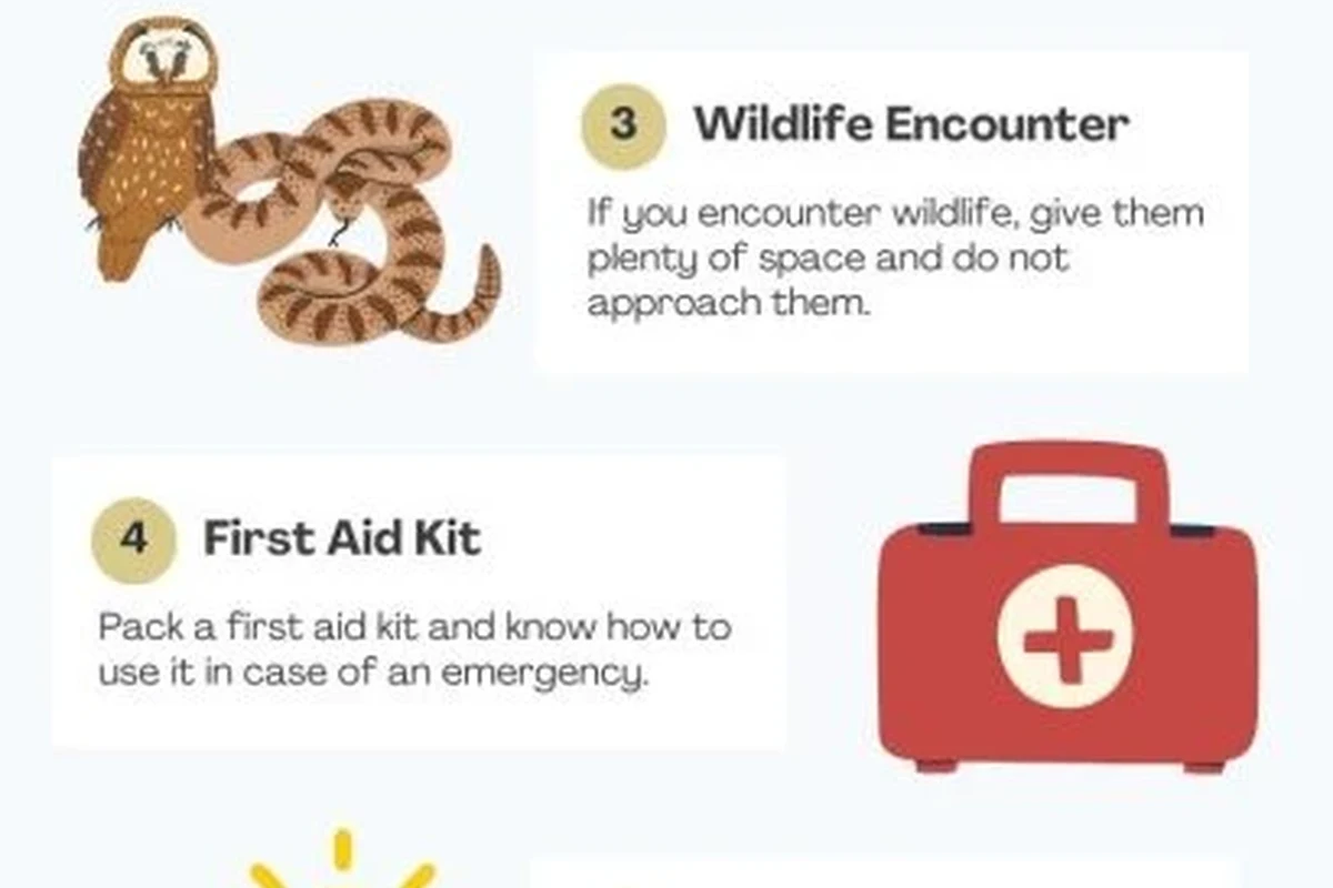 Hiker preparing essentials for a day hike in the outdoors.