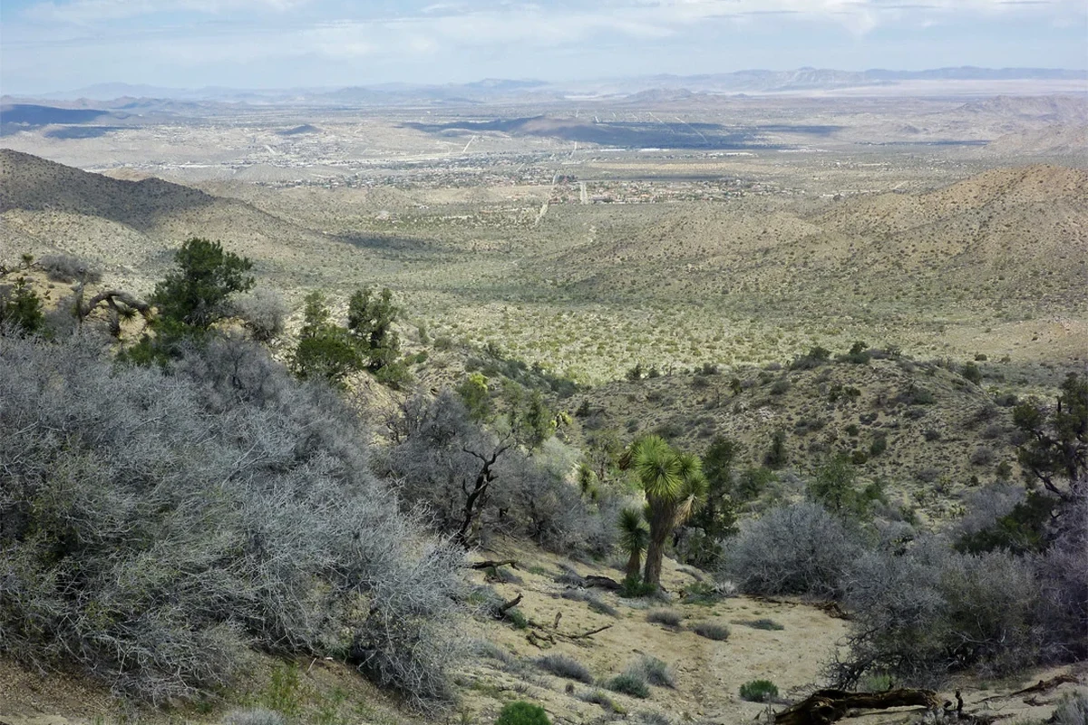 Scenic view from 55917 Mountain View Trail in Yucca Valley, CA