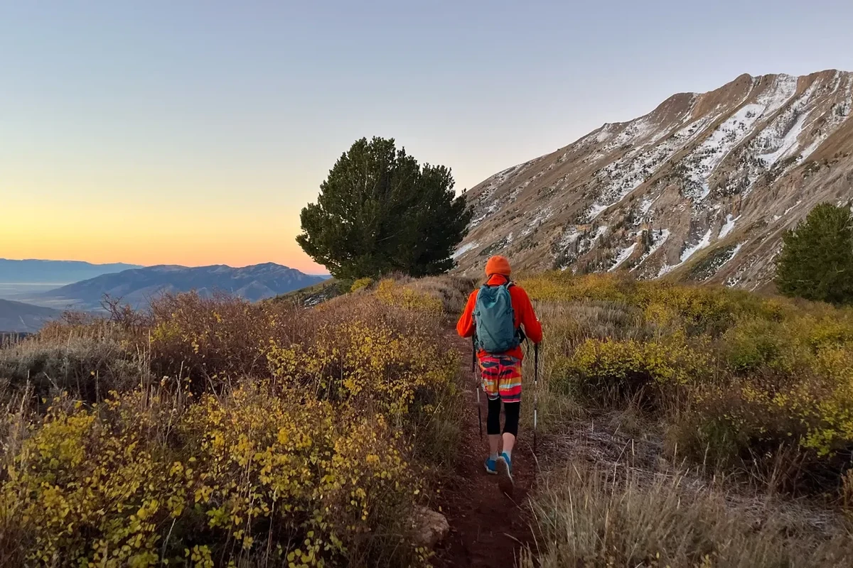 Hiker checking essentials for a day hike in nature.