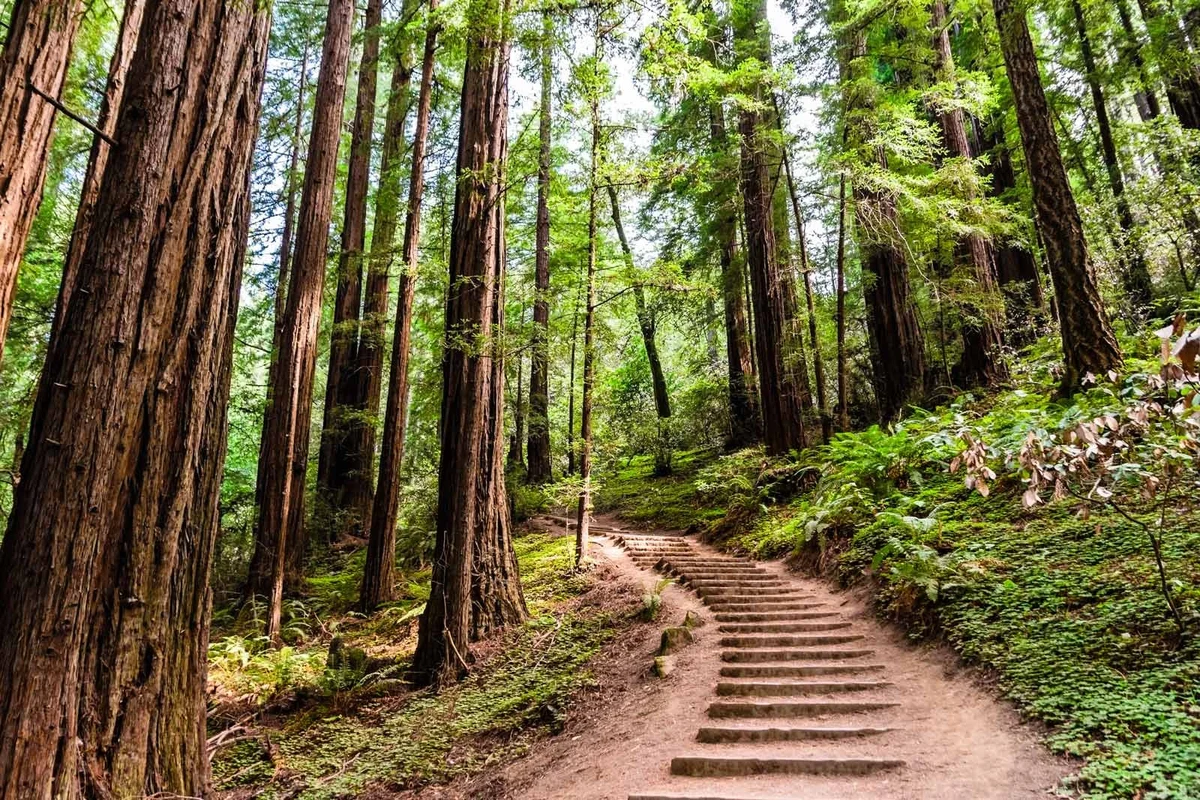 Scenic hiking trail in the US with breathtaking views