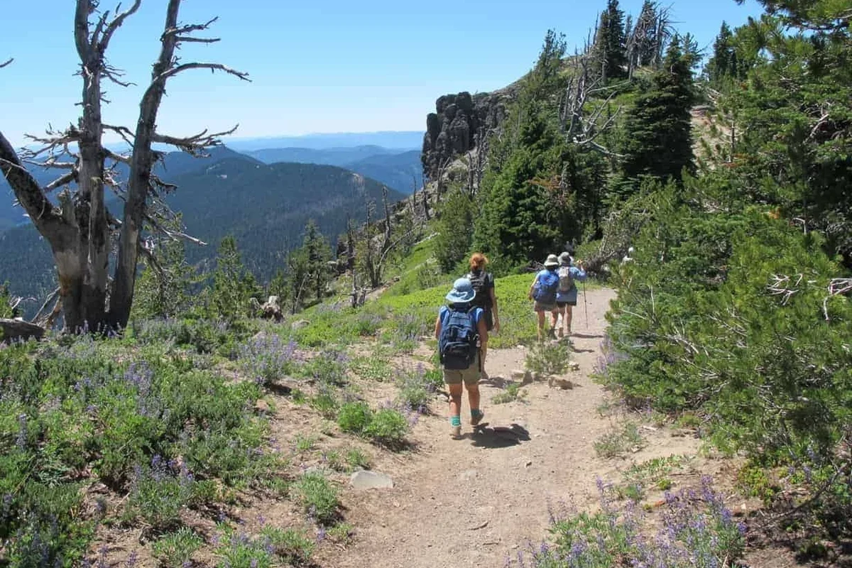 Hiker enjoying scenic views on a trail near Steamboat Springs, Colorado