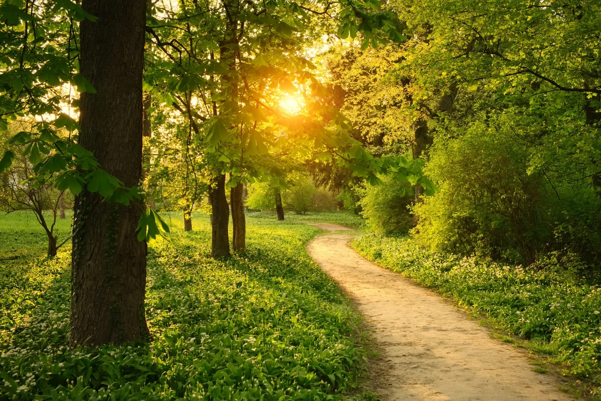Walking trail with scenic views and fresh air