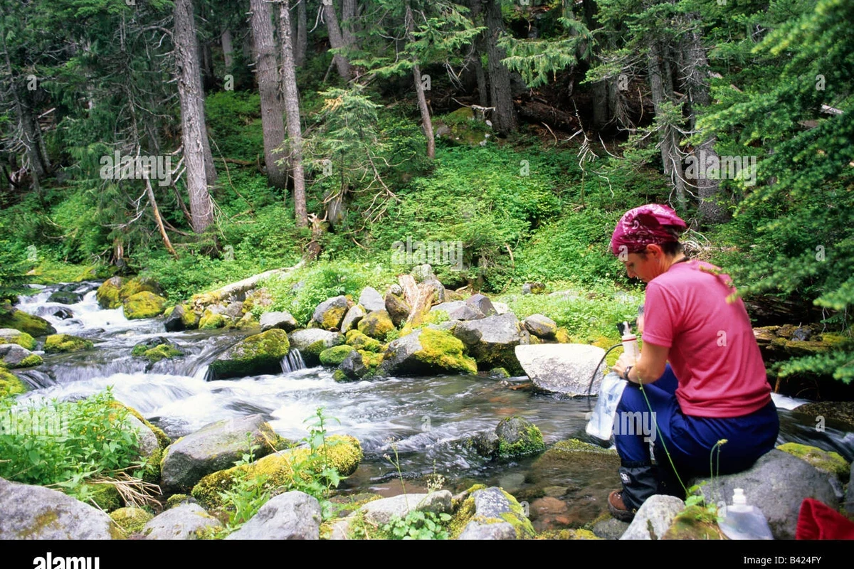 Hikers enjoying the scenic trails of White Mountain National Forest