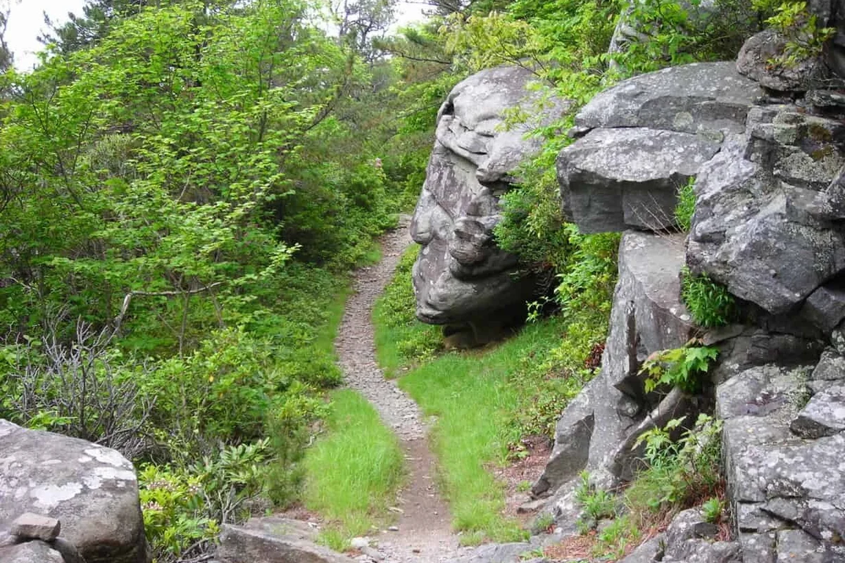 Hiking trail with stunning views near Steamboat Springs