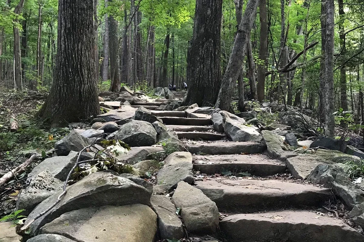 Hiker on a scenic trail with stunning views within 20 miles