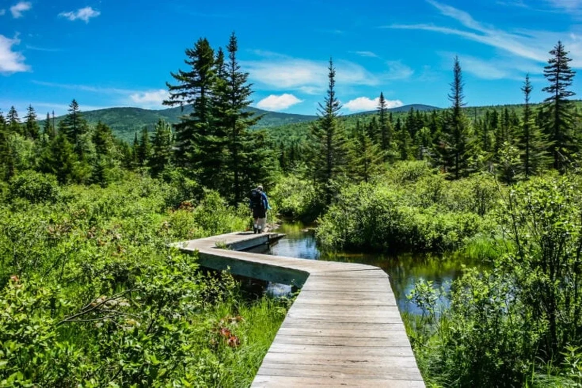 Hiking trails in the White Mountains, NH, with stunning views of nature.