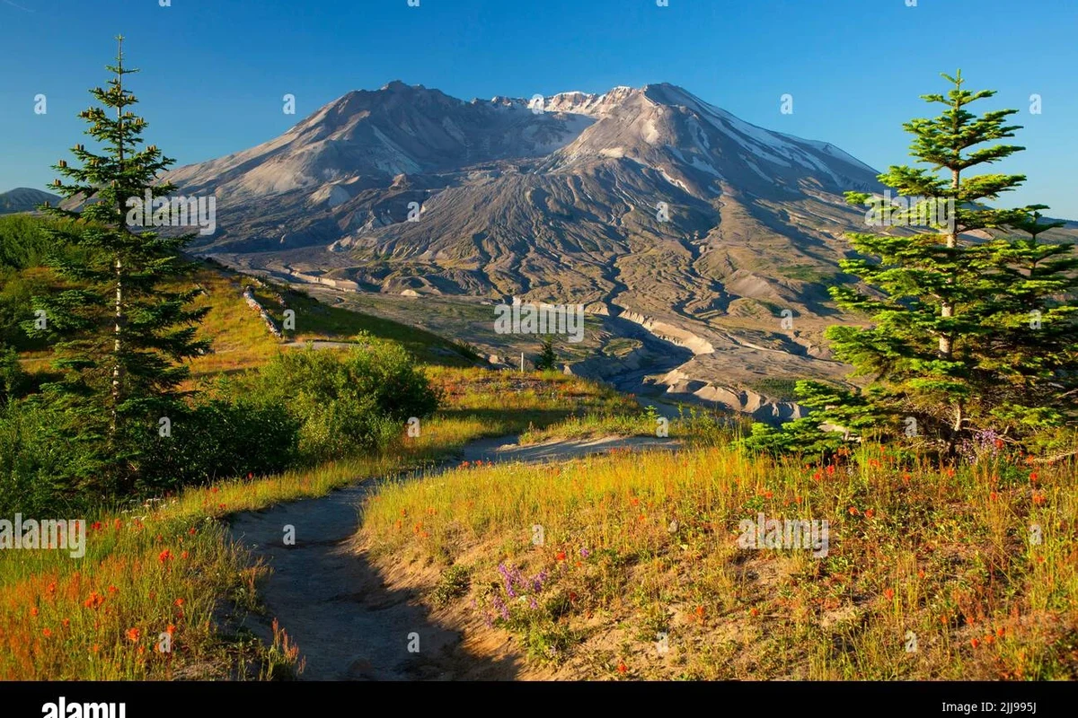 Hiking trails at Mount St. Helens National Volcanic Monument