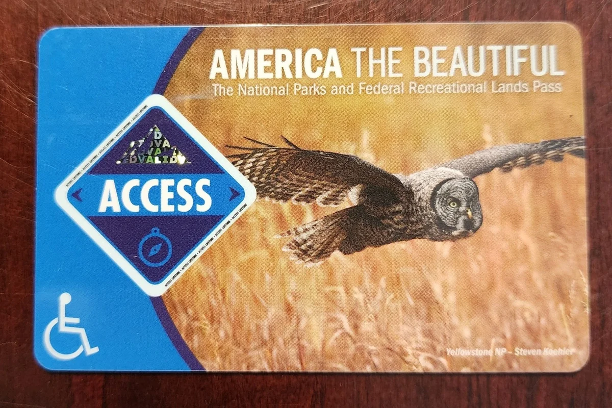 A scenic view of a national park accessible for disabled visitors.