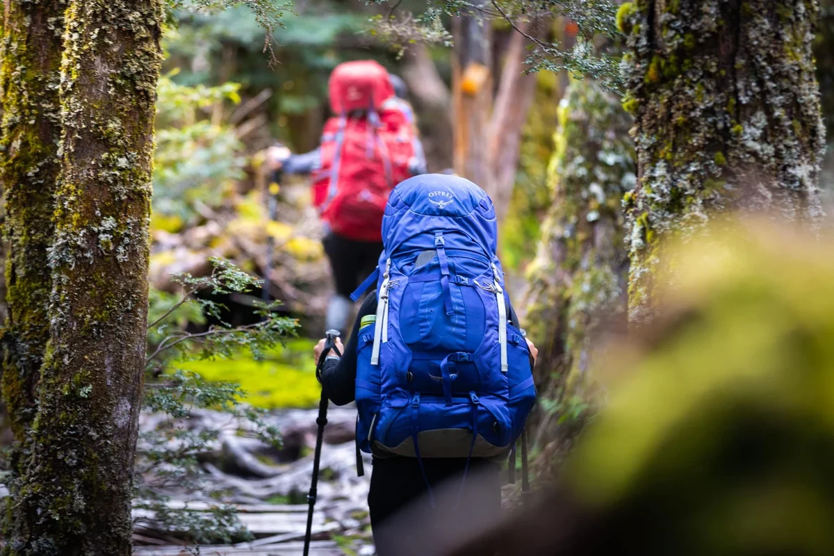 Packing essentials for a safe day hike