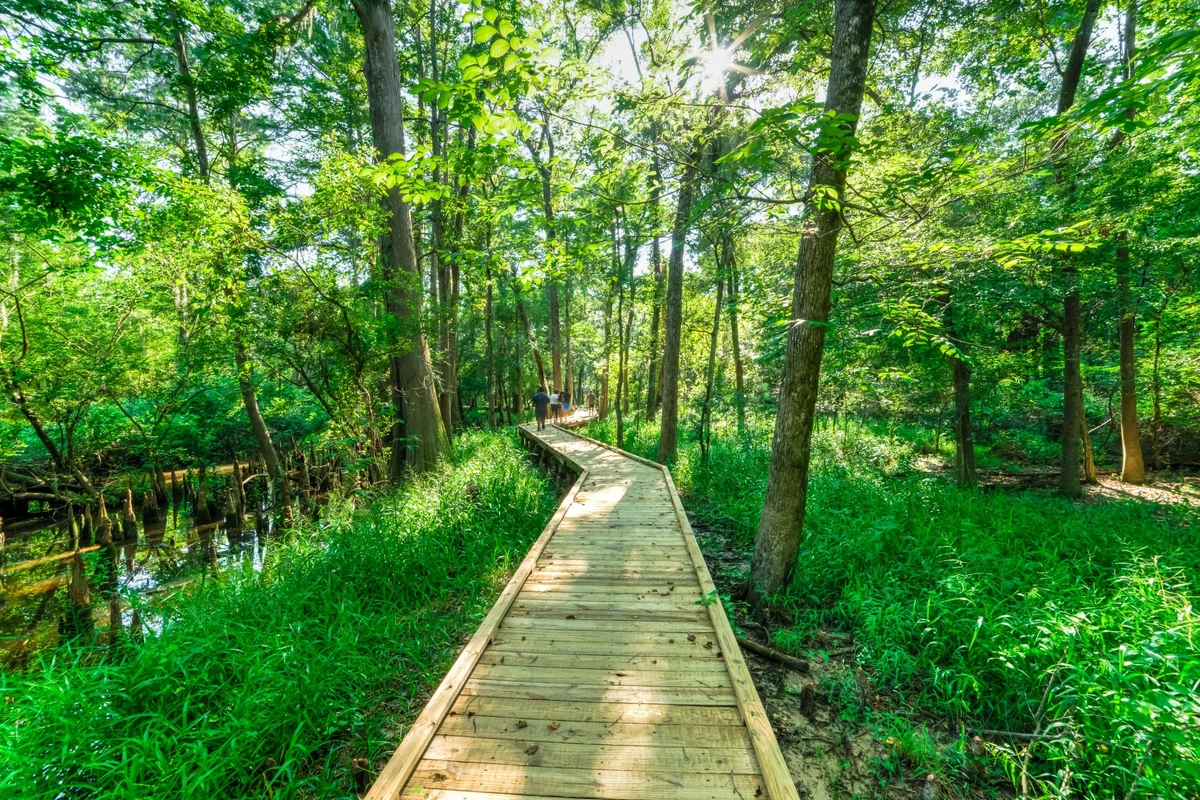 Parks and walking trails near me offer great outdoor experiences.