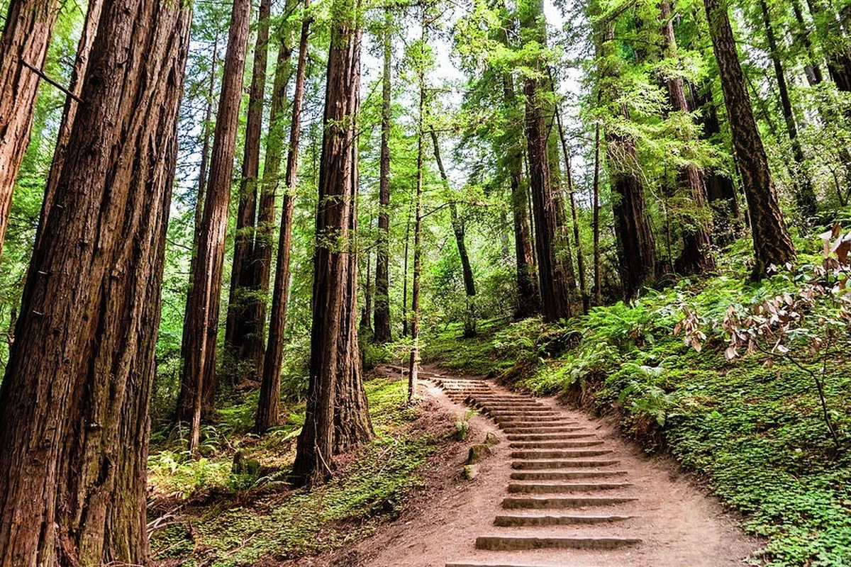 Hiking trail with stunning views and clear skies