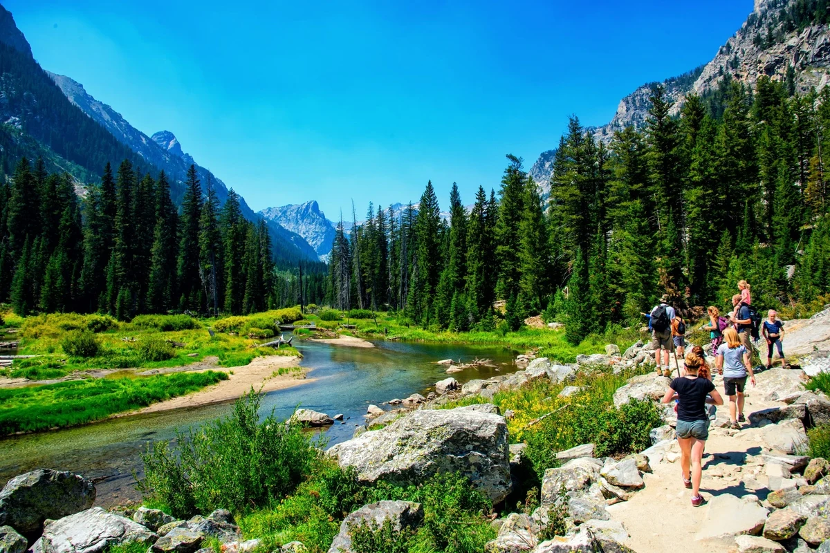 Scenic hiking trail with breathtaking views and lush landscape