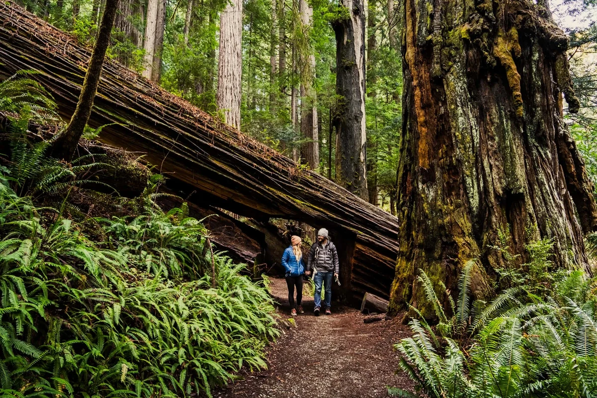 Hikers enjoying scenic views on a trail in a state park.