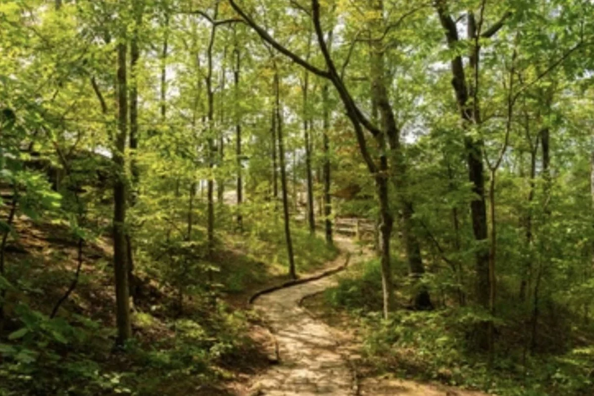 Scenic hiking trail surrounded by nature within 5 miles.