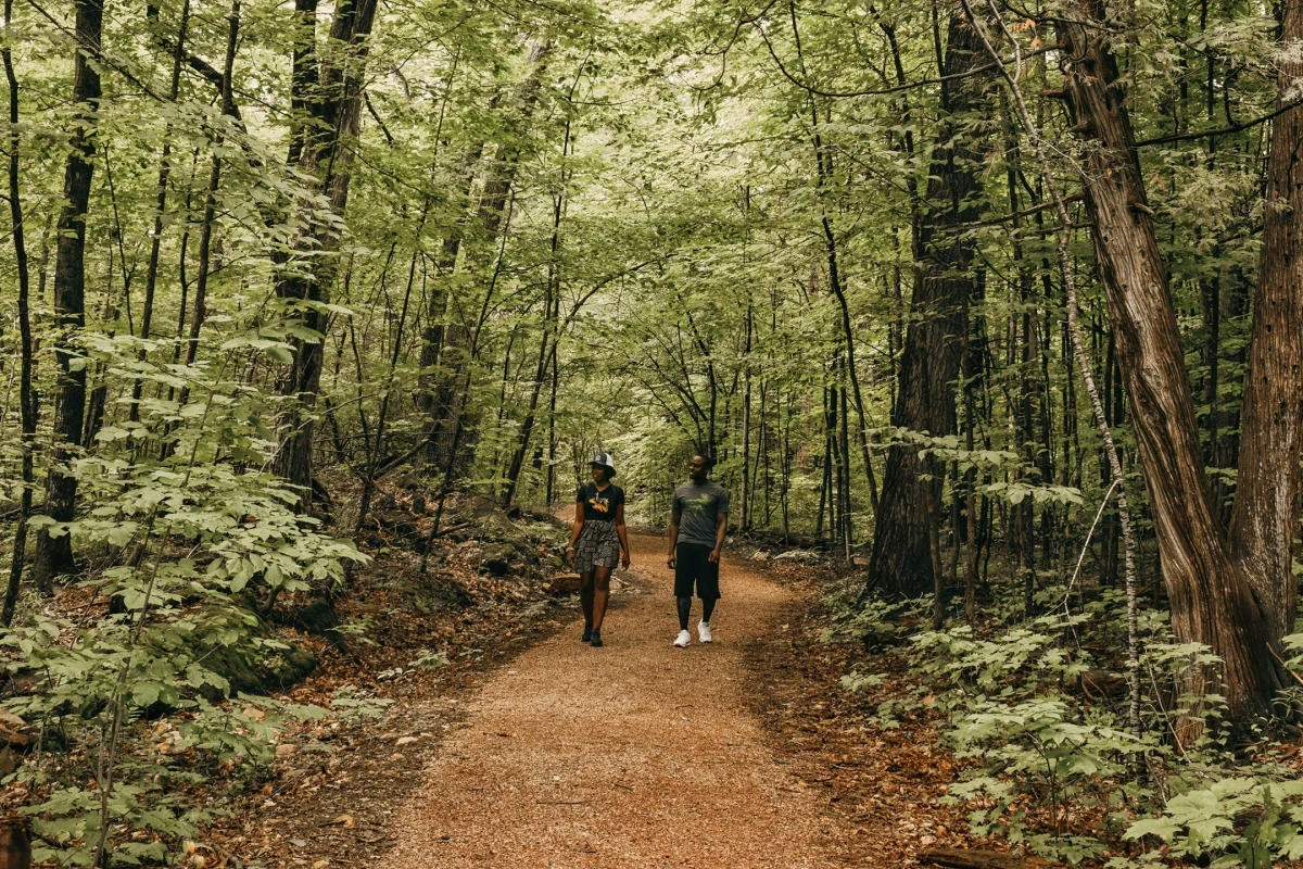 Scenic view of peaceful trails in the woods near Steamboat
