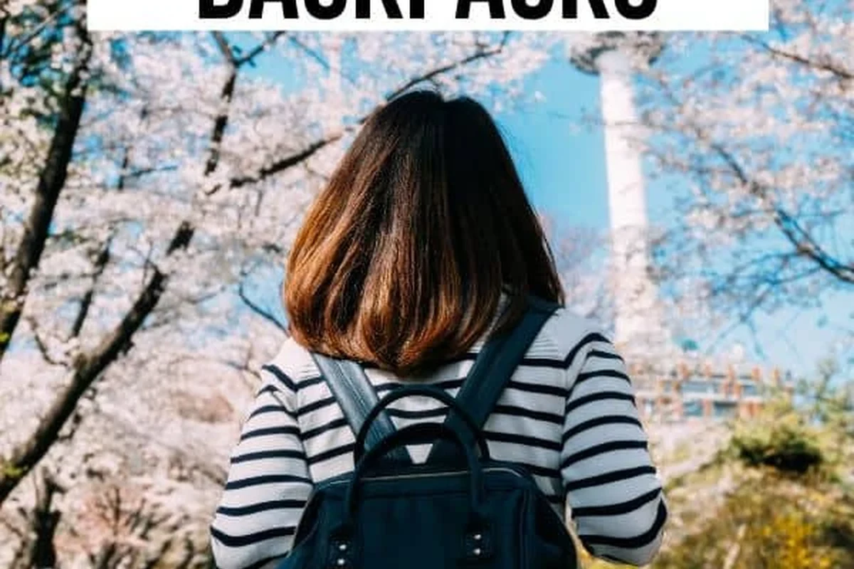 Women’s anti-theft travel backpack with security features